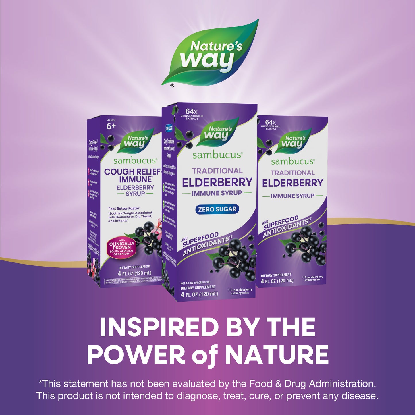 <{%MAIN5_6971%}>Nature's Way® | Sambucus Zero Sugar Traditional Elderberry Immune Syrup