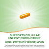 Nature's Way® | Riboflavin Vitamin B2 Sku:40421