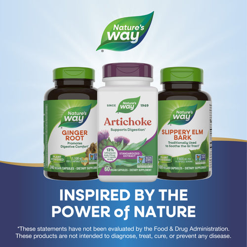 Nature's Way® | Artichoke Sku:64600