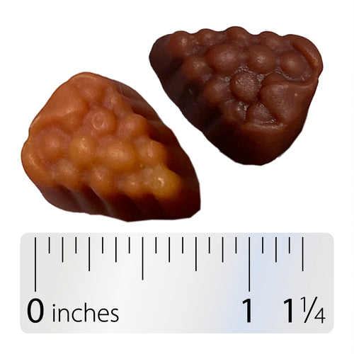 Nature's Way® | Alive! Women's Gummy Multivitamin - Gummy and ruler Sku:11536