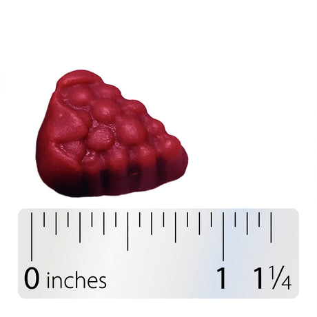 <{%360IMAGE3_13701%}>Nature's Way® | Zinc Gummies - Gummy and ruler