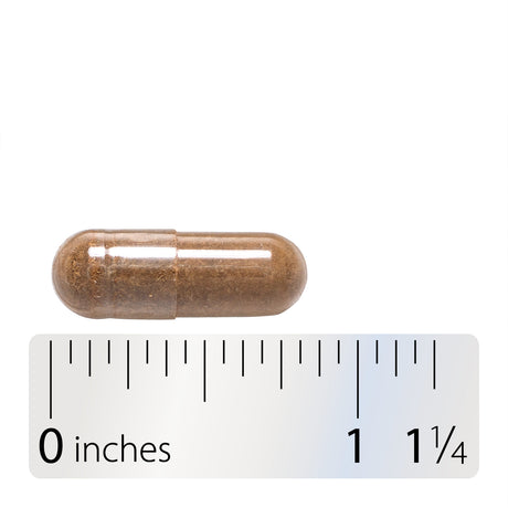 <{%360IMAGE8_17300%}>Nature's Way® | St. John's Wort Herb - Capsule and ruler
