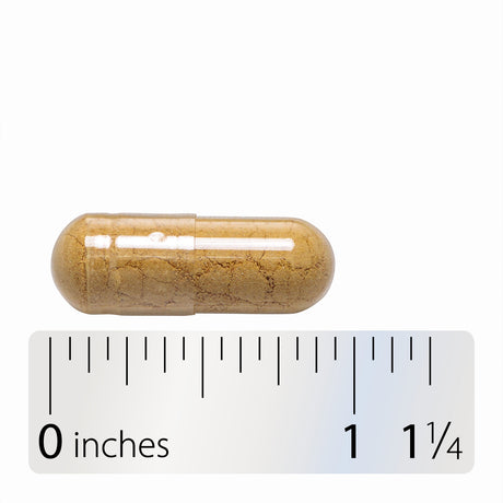 <{%360IMAGE8_13100%}>Nature's Way® | Ginger Root - Capsule and ruler