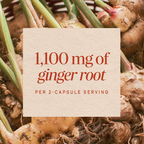 <{%MAIN8_13100%}>Nature's Way® | Ginger Root