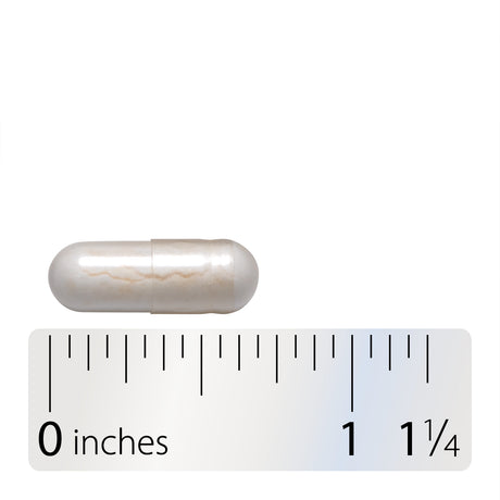 <{%360IMAGE3_6850%}>Nature's Way® | Primadophilus Probiotic - Capsule and ruler