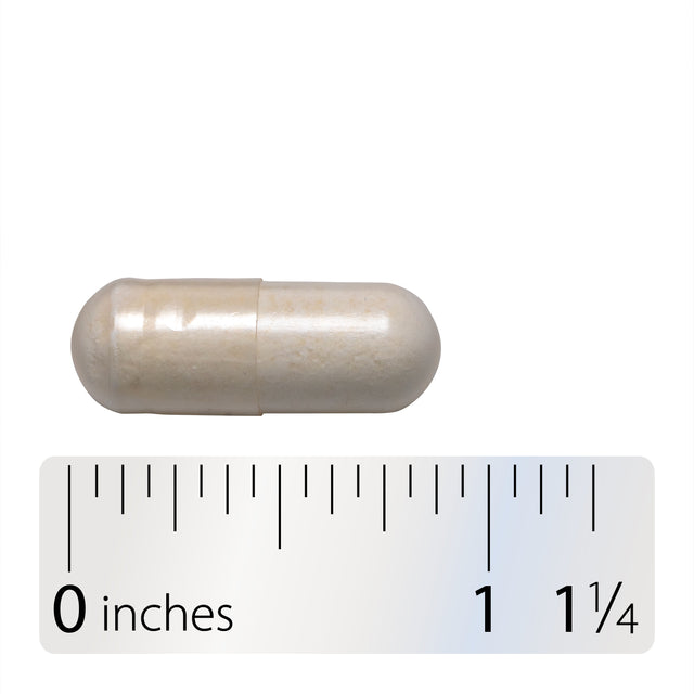 <{%360IMAGE4_11582%}>Nature's Way® | Fortify Daily Pre+Probiotic Age 50+ - Capsule and ruler
