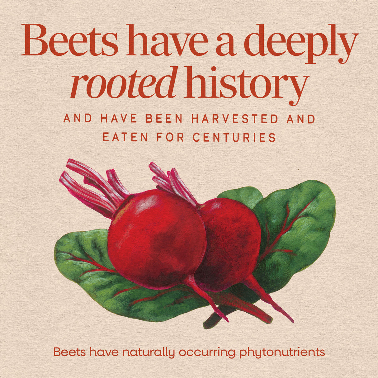 <{%MAIN2_10400%}>Nature's Way® | Beet Root