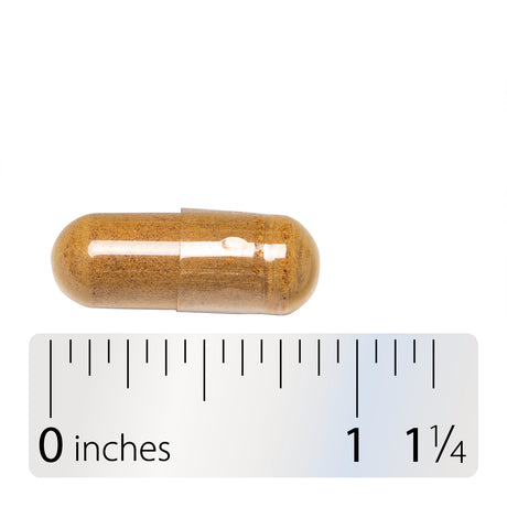 <{%360IMAGE4_12900%}>Nature's Way® | Fo-Ti Root - Capsule and ruler