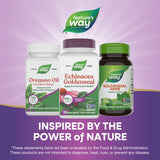 <{%MAIN5_12108%}>Nature's Way® | Echinacea Goldenseal Premium Blend