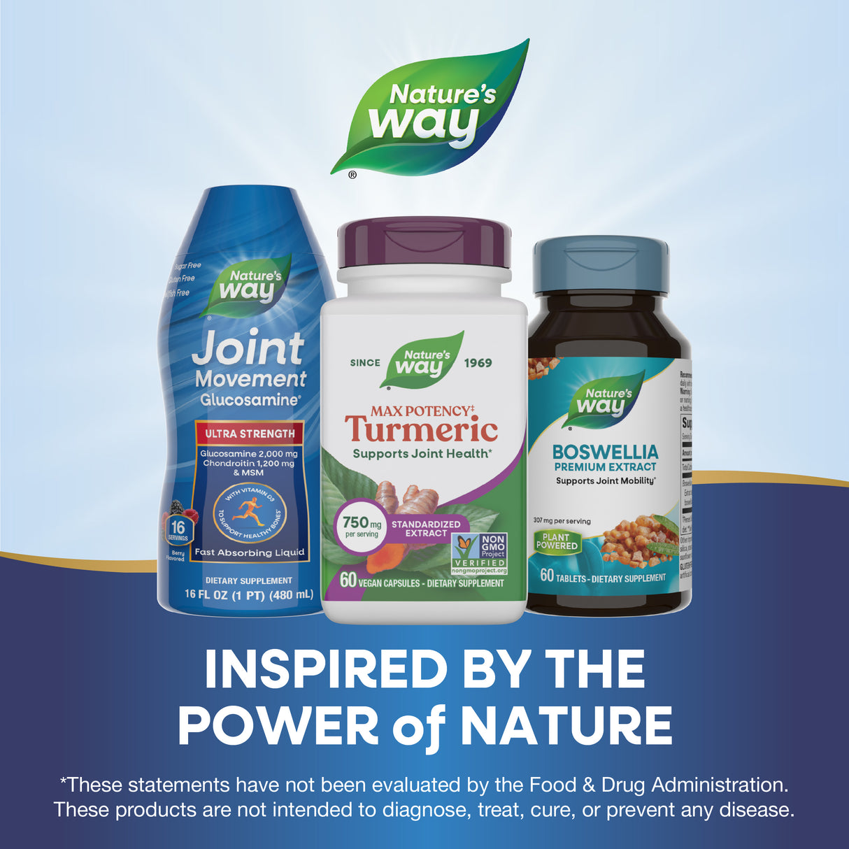 <{%MAIN5_undefined%}>Nature's Way® | Turmeric Max Potency‡