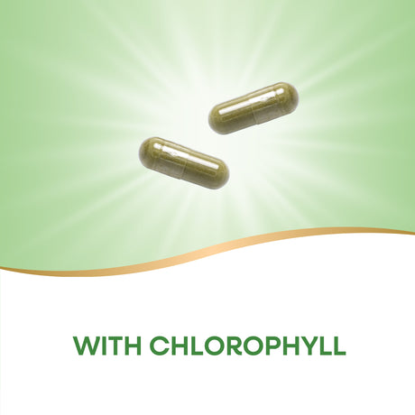 <{%MAIN2_15300%}>Nature's Way® | Parsley Leaf