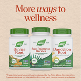 <{%MAIN13_16750%}>Nature's Way® | Saw Palmetto Berries