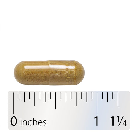 <{%360IMAGE8_15355%}>Nature's Way® | Milk Thistle - Capsule and ruler