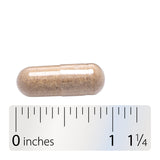 <{%360IMAGE8_13500%}>Nature's Way® | Siberian Eleuthero Root - Capsule and ruler