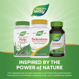 <{%MAIN5_41081%}>Nature's Way® | Selenium