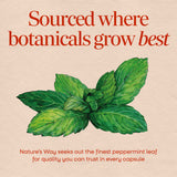 <{%MAIN2_14160%}>Nature's Way® | Peppermint Leaf