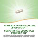<{%MAIN2_40451%}>Nature's Way® | Folate