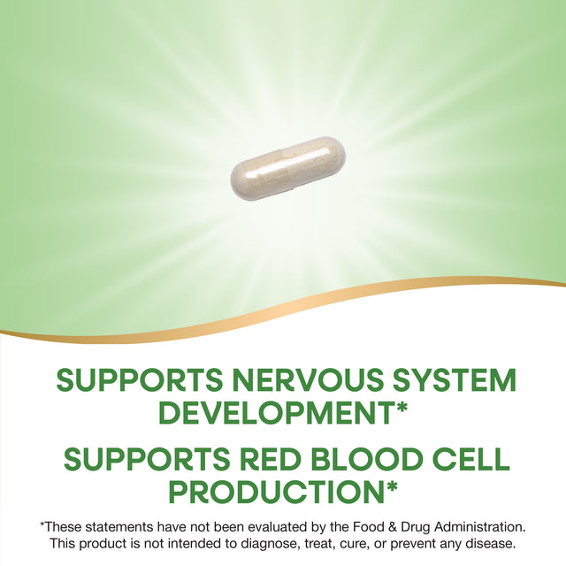 <{%MAIN2_40451%}>Nature's Way® | Folate