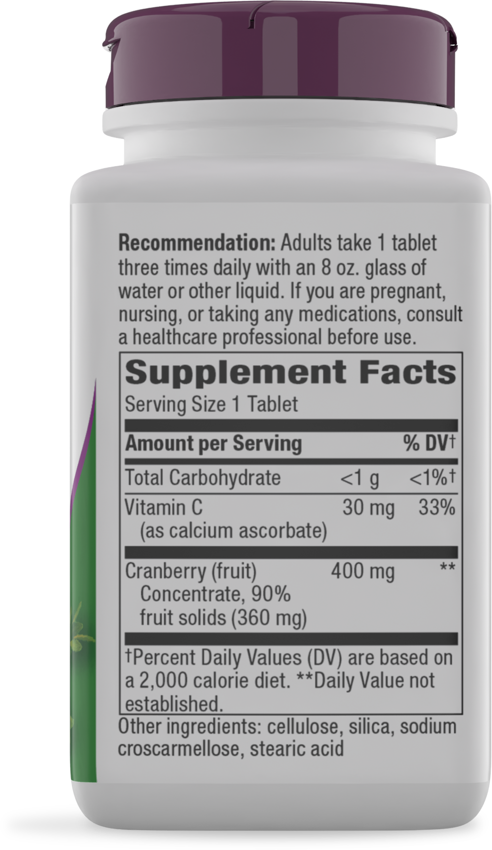 <{%360IMAGE1_15020%}>Nature's Way® | Cranberry Premium Blend - right side of pack