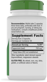 <{%360IMAGE1_14160%}>Nature's Way® | Peppermint Leaf - right side of pack