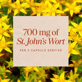 <{%MAIN3_14041%}>Nature's Way® | St. John's Wort Herb