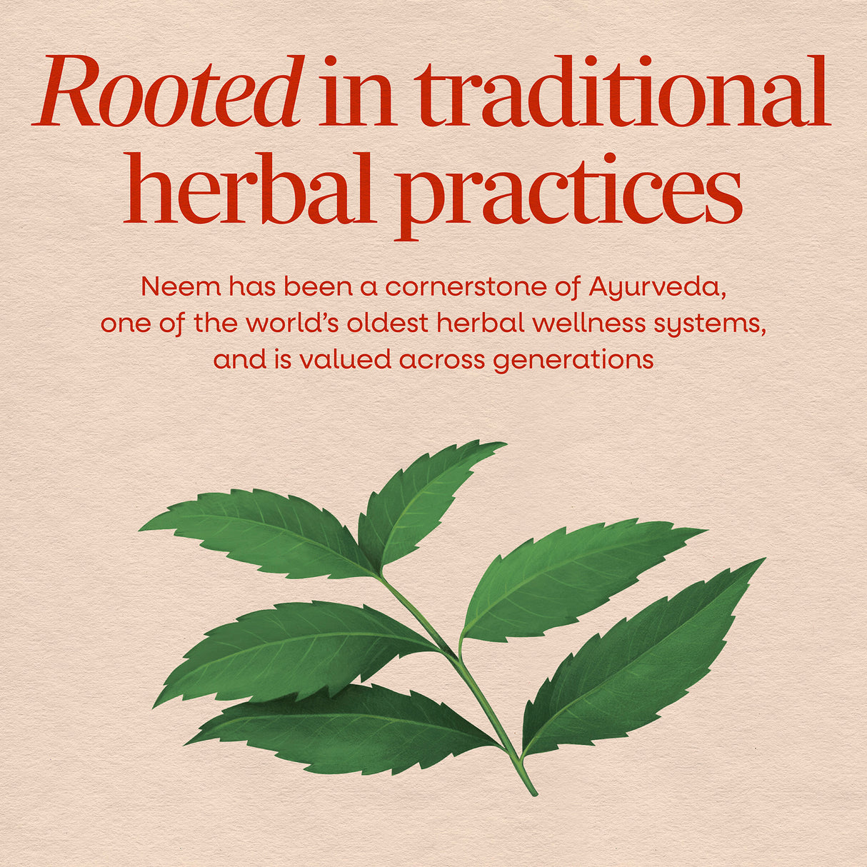 <{%MAIN2_15120%}>Nature's Way® | Neem Leaf