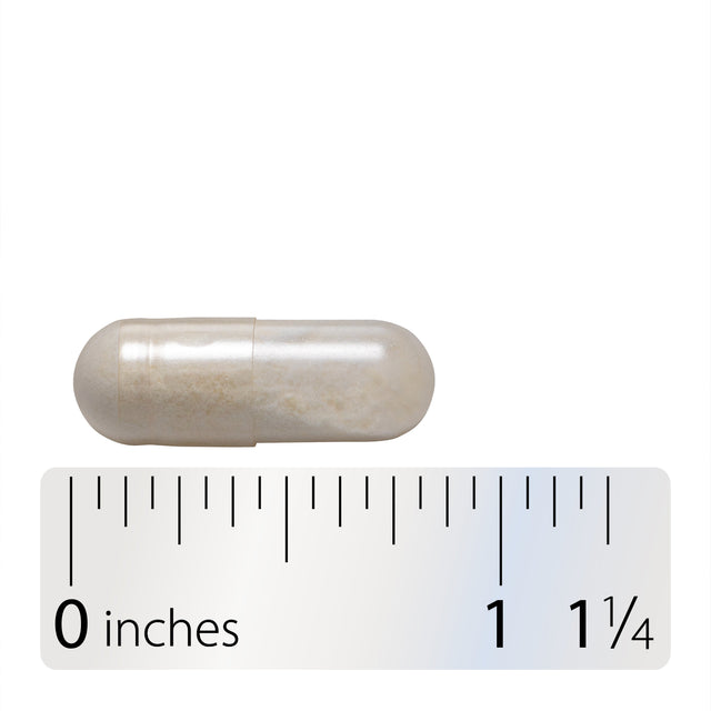 <{%360IMAGE6_6860%}>Nature's Way® | Primadophilus Bifidus Probiotic - Capsule and ruler