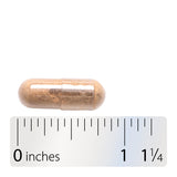 <{%360IMAGE3_04085%}>Nature's Way® | ADRENergize Adrenal Support - Capsule and ruler