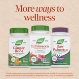 <{%MAIN6_12408%}>Nature's Way® | Echinacea