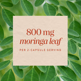 <{%MAIN3_15963%}>Nature's Way® | Moringa