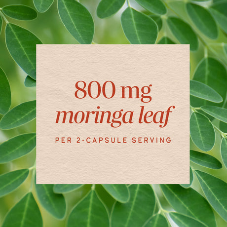 <{%MAIN3_15963%}>Nature's Way® | Moringa