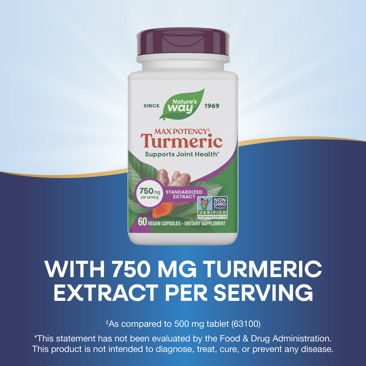 <{%MAIN3_10260%}>Nature's Way® | Turmeric Max Potency