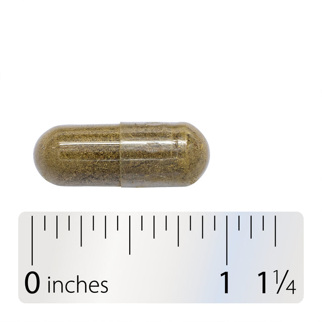 <{%360IMAGE4_16900%}>Nature's Way® | Skullcap Herb - Capsule and ruler