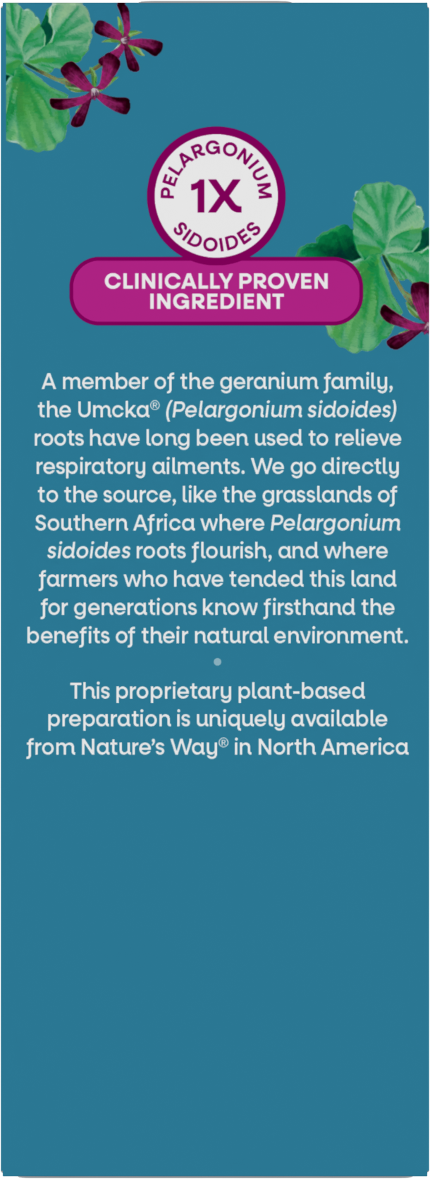 <{%360IMAGE14_15792%}>Nature's Way® | Umcka ColdCare Syrup - back of pack