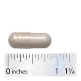 <{%360IMAGE4_10673%}>Nature's Way® | Fortify Adult Daily Pre+Probiotic - Capsule and ruler