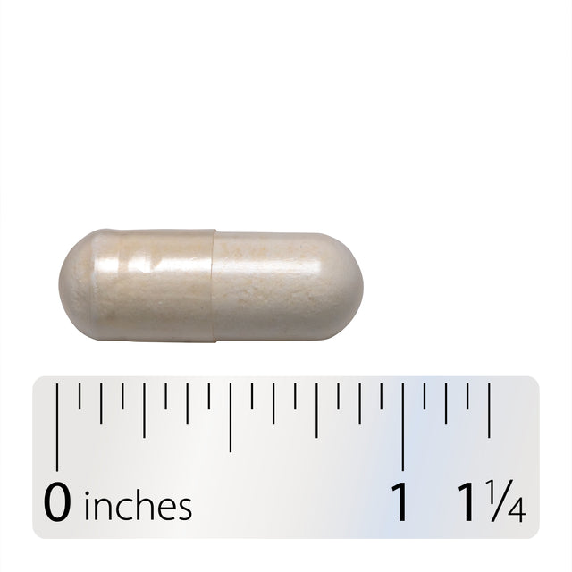 <{%360IMAGE4_10673%}>Nature's Way® | Fortify Adult Daily Pre+Probiotic - Capsule and ruler