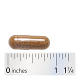 <{%360IMAGE8_15335%}>Nature's Way® | Leg Veins Premium Blend - Capsule and ruler