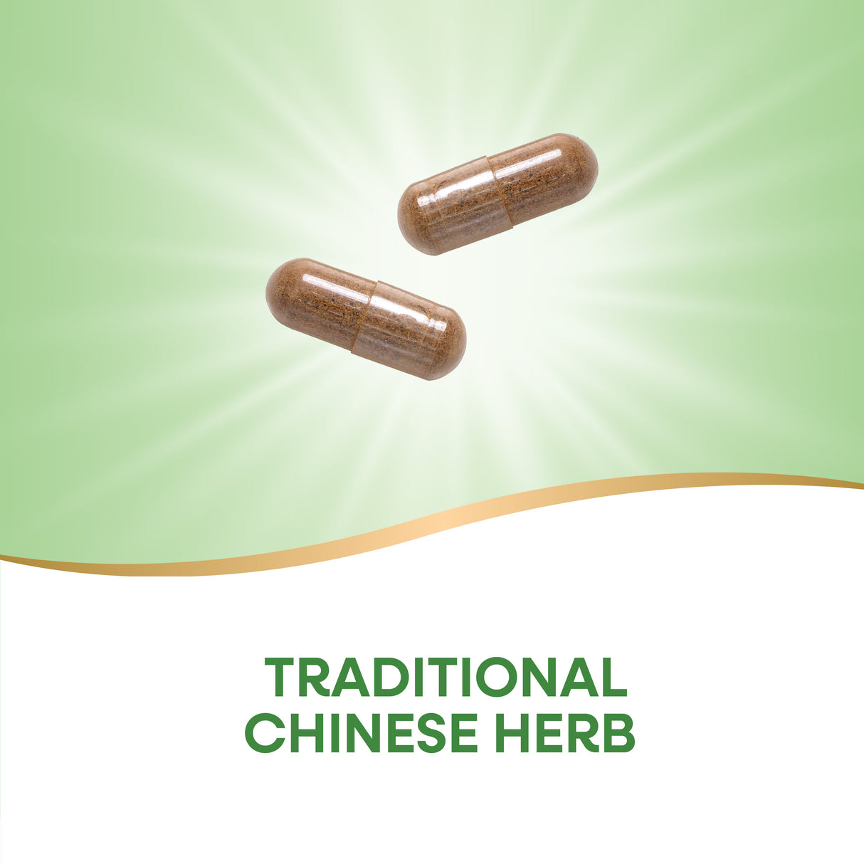 <{%MAIN2_14550%}>Nature's Way® | Kudzu Root