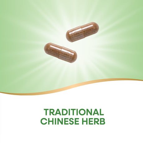 <{%MAIN2_14550%}>Nature's Way® | Kudzu Root