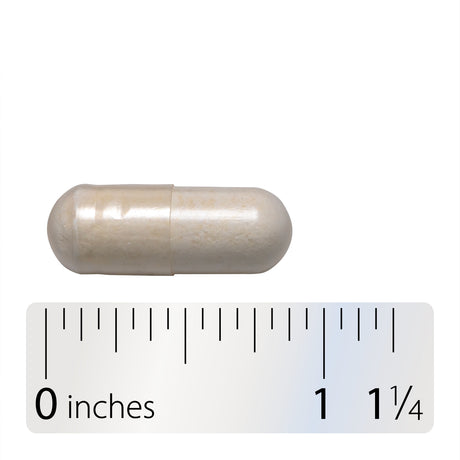 <{%360IMAGE4_10294%}>Nature's Way® | Fortify 30 Billion Daily Probiotic - Capsule and ruler