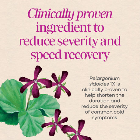 <{%MAIN3_15845%}>Nature's Way® | Umcka Cold & Flu Relief Elderberry Syrup