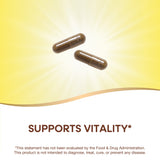 <{%MAIN2_14008%}>Nature's Way® | Gotu Kola Herb