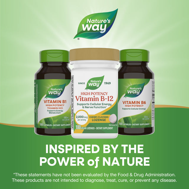 <{%MAIN5_40440%}>Nature's Way® | Vitamin B12 Lozenges High Potency