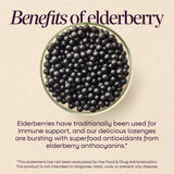 <{%MAIN3_14001%}>Nature's Way® | Sambucus Elderberry Immune Lozenge