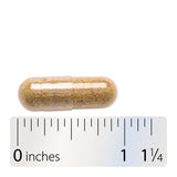 <{%360IMAGE4_11600%}>Nature's Way® | Chamomile Flowers - Capsule and ruler