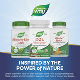 <{%MAIN5_09021%}>Nature's Way® | DGL Sugar Free
