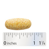 <{%360IMAGE4_60038%}>Nature's Way® | Alpha Betic Multivitamin - Tablet and ruler