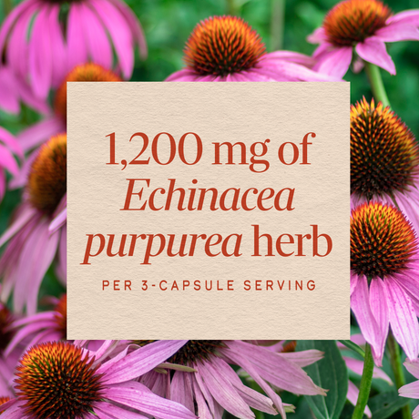 <{%MAIN3_12408%}>Nature's Way® | Echinacea