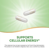 <{%MAIN2_40491%}>Nature's Way® | Pantothenic Acid Vitamin B5
