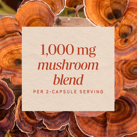 <{%MAIN3_15780%}>Nature's Way® | 5-Mushroom Blend